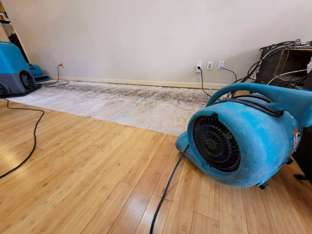 Reliable Basement Flood Cleanup contractor in Fontana, CA by Hirex Water Damage