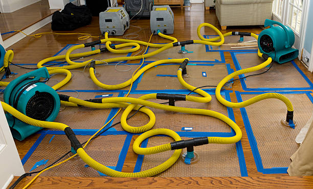 Professional Basement Flood Cleanup technician working in Fontana, CA